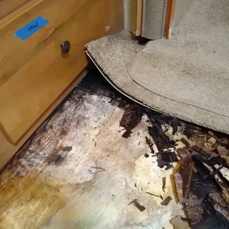 Best Wood Floor Water Damage Service in Curry County, OR